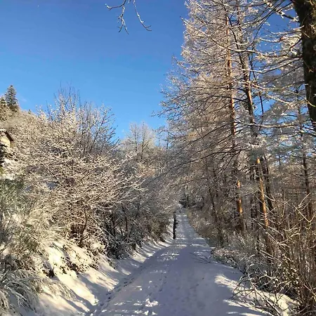 Horská chata Cozy In The Vosges With Scenic Views *