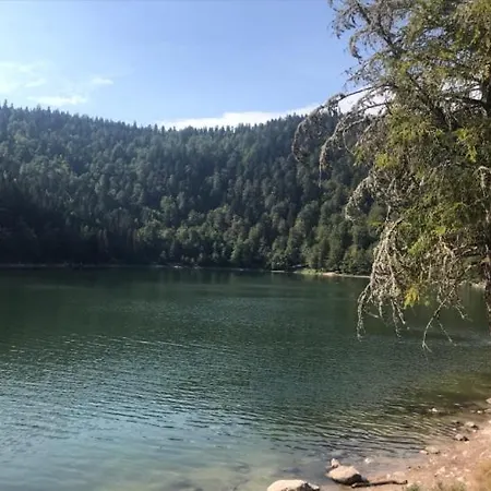 Cozy In The Vosges With Scenic Views *