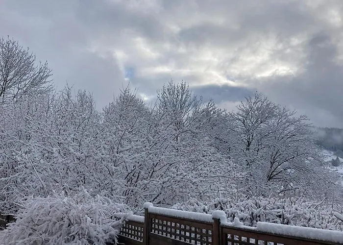 Cozy In The Vosges With Scenic Views *