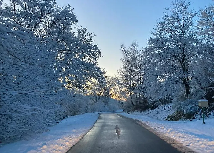 Cozy In The Vosges With Scenic Views Horská chata