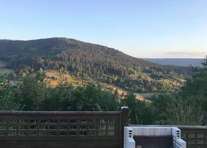 Cozy In The Vosges With Scenic Views * Basse-sur-le-Rupt