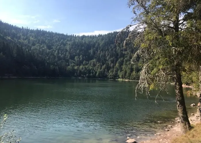 Cozy In The Vosges With Scenic Views *